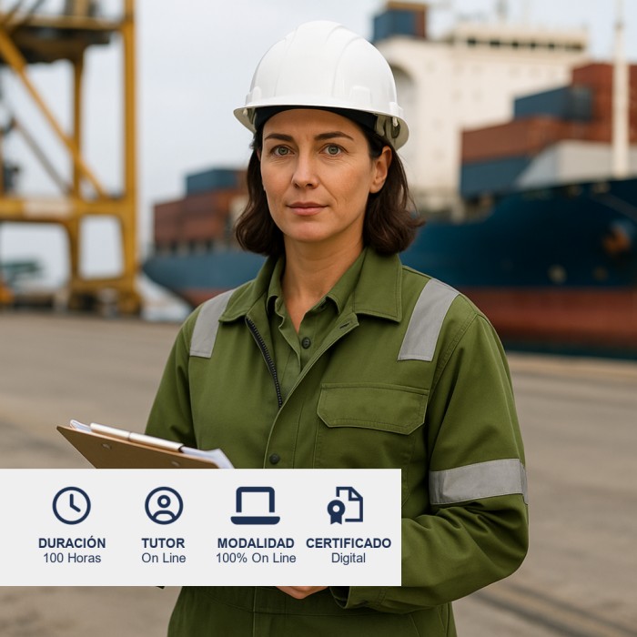 Curso Fiscalización, Inspección y Control Documental Marítimo
