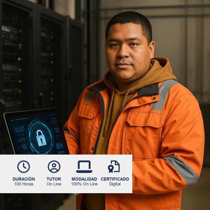 Curso Gobernanza de Ciberseguridad para Organismos Públicos y Privados